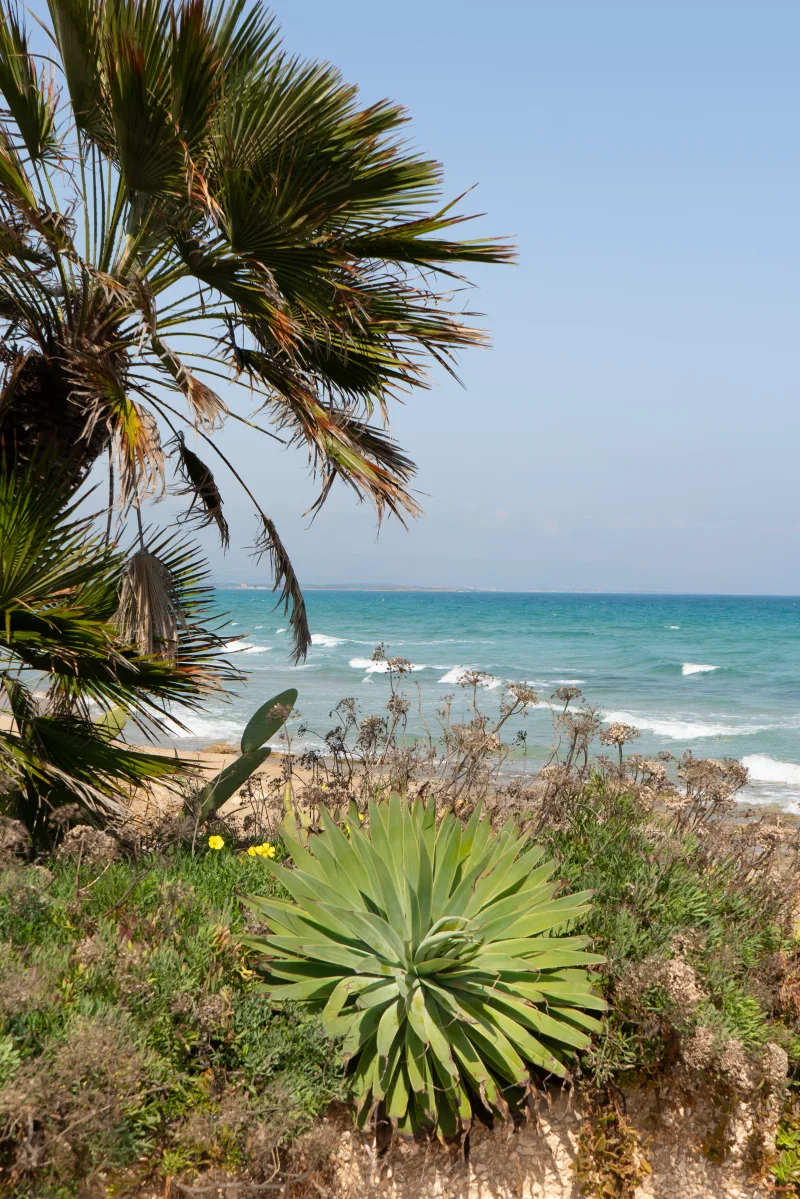 SAN LORENZO LOCATION 2361